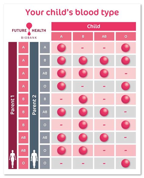 child blood type calculator.